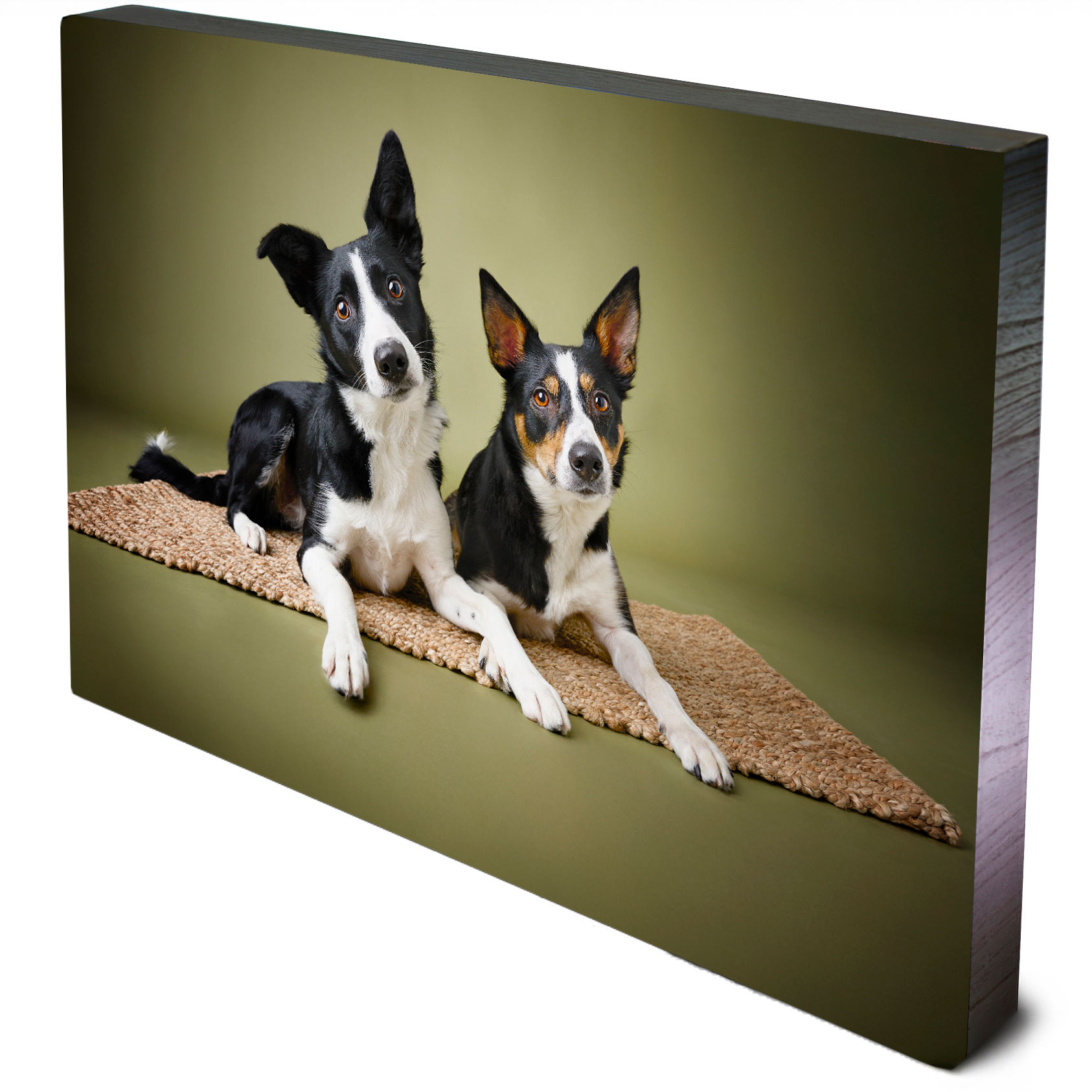 Gallery-wrapped canvas dog portrait print