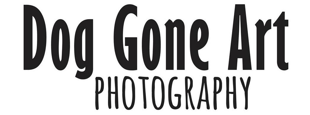 Dog Gone Art Photography — Calgary dog portrait studio logo